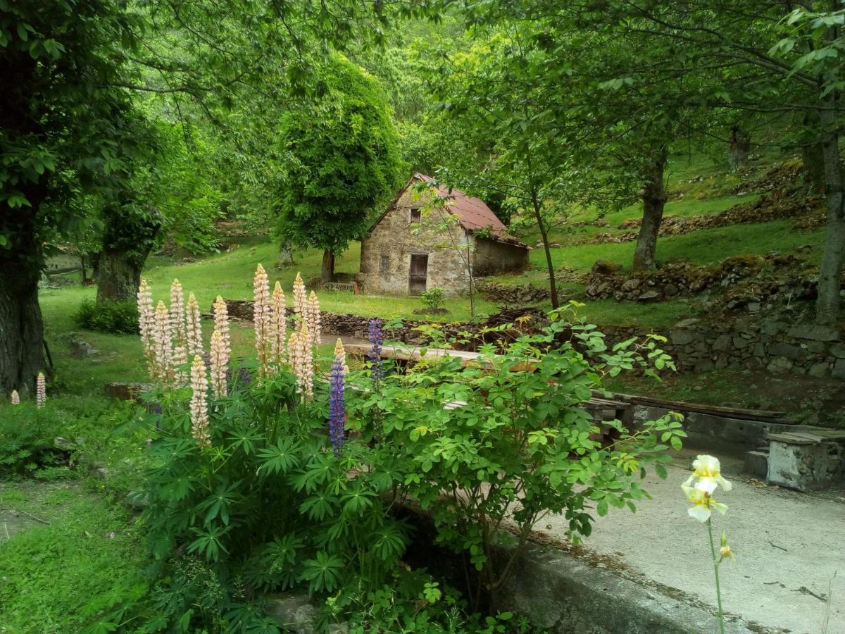 Le Muse * Pieve Fosciana