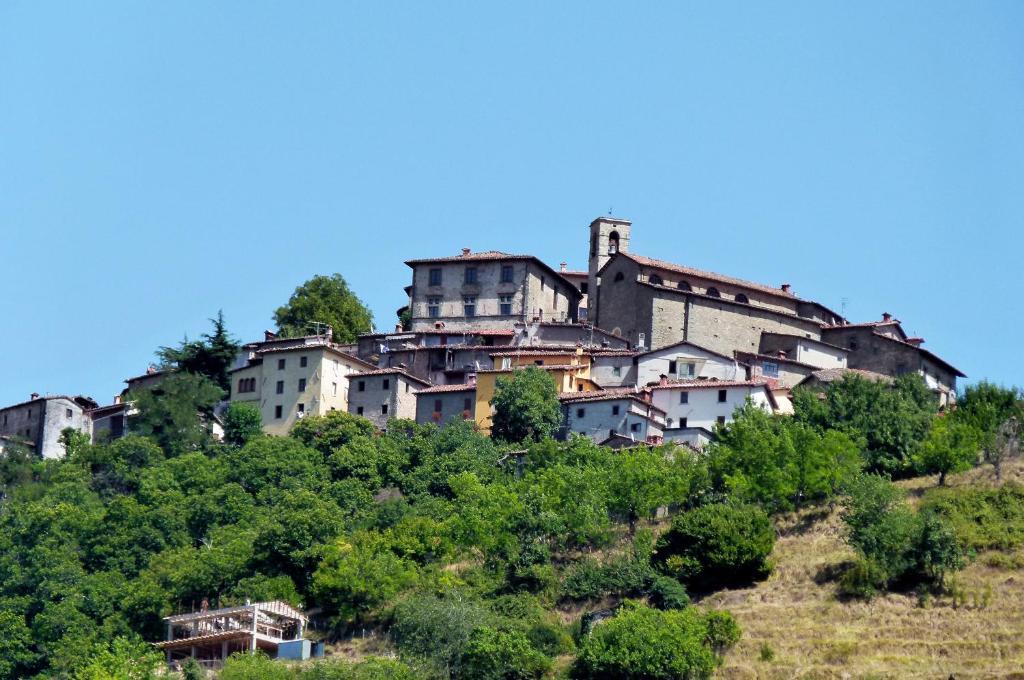 Le Muse Sillico * Pieve Fosciana