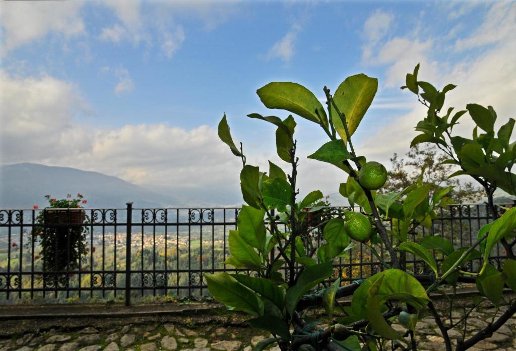 Le Muse Sillico Holiday home *